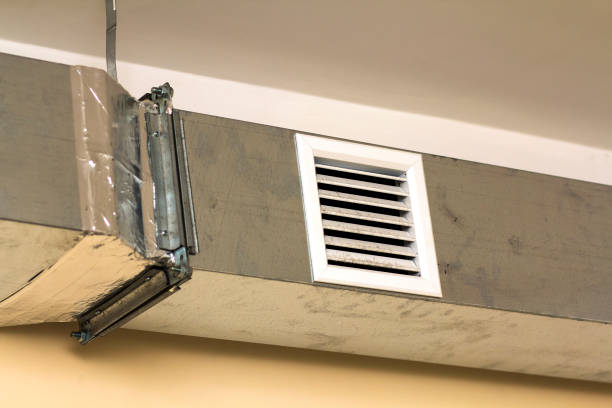 Best Local Air Duct Cleaning Services  in Apalachin, NY