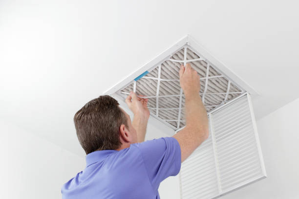 Best Air Vent Cleaning Services  in Apalachin, NY